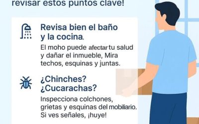 Imagen de WhatsApp 2025 06 12 a las 10.06.02 61862b0a 400x250 - Blog